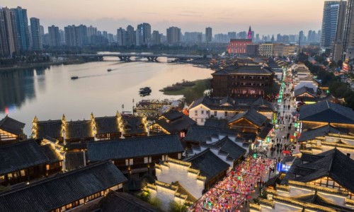 地涌金莲有什么药效-地涌金莲的吃法禁忌网 :分享地涌金莲正确吃法-地涌金莲怎么吃才好吃知识