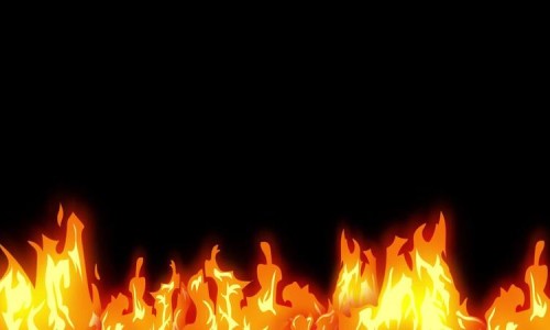 地涌金莲吃了有啥好处-地涌金莲的吃法禁忌网 :分享地涌金莲正确吃法-地涌金莲怎么吃才好吃知识