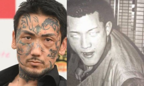 地涌金莲的吃法禁忌网 :分享地涌金莲正确吃法-地涌金莲怎么吃才好吃知识