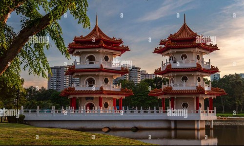 地涌金莲药用配方-地涌金莲的吃法禁忌网 :分享地涌金莲正确吃法-地涌金莲怎么吃才好吃知识
